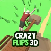 Crazy Flips 3D