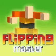 Flipping Master