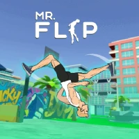 Mr Flip